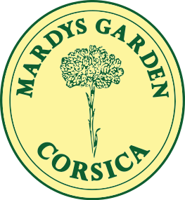 
      Mardys Garden - Immortelle from Corsica. Organic Essential Oils
