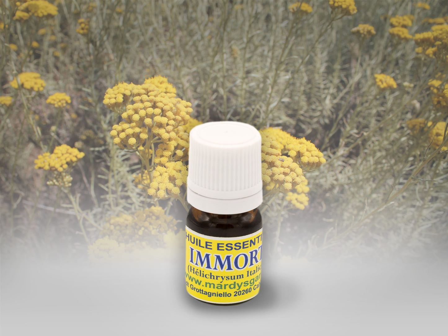 Organic Immortelle Essential Oil. Made in Corsica, 100% pure