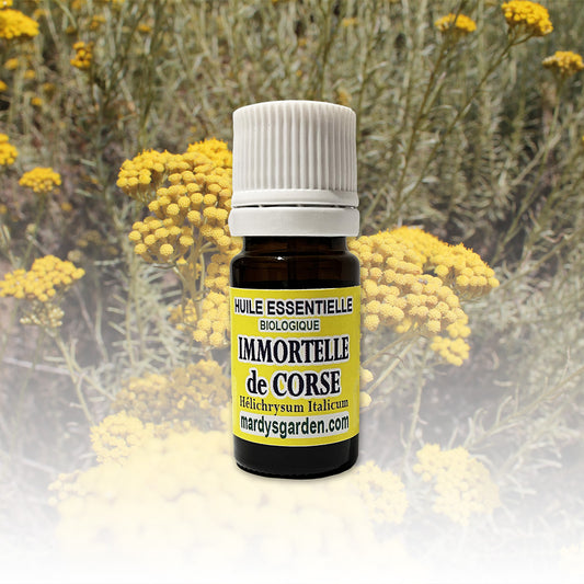 Organic Immortelle Essential Oil. Made in Corsica, 100% pure