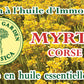Myrtle Soap 100g label. Myrtle from Corsica. Rich in organic essential oil