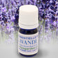 Topped Lavender Essential Oil 5ml. Organic Essential Oil from Corsica. Lavandula Stoechas. 100% pure and natural, undiluted. Can be used on skin. Unique camphor fragrance