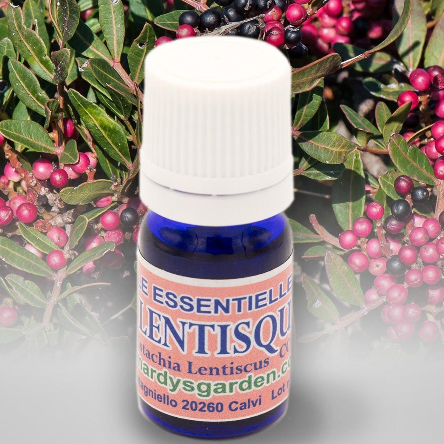 Mastic Essential Oil 5ml. Organic Essential Oil from Corsica. Pistacia Lentiscus (Lentisk). 100% pure and natural, undiluted. Can be used on skin, aromatherapy